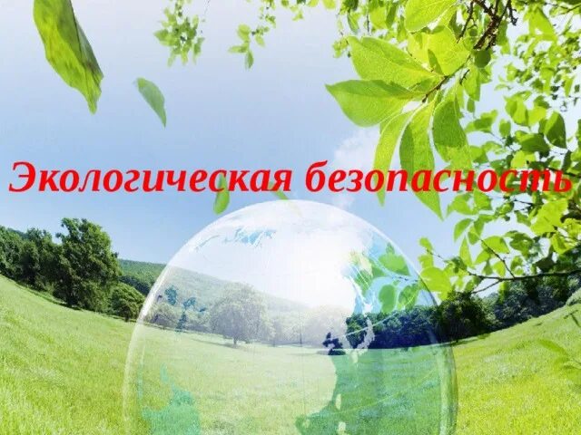 Экологическая безопасность - фото 1